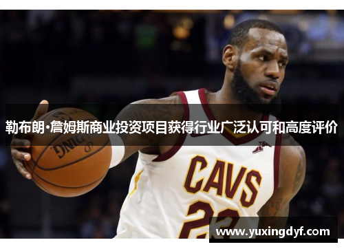 勒布朗·詹姆斯商业投资项目获得行业广泛认可和高度评价