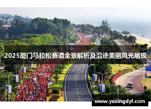 2025厦门马拉松赛道全景解析及沿途美丽风光展现